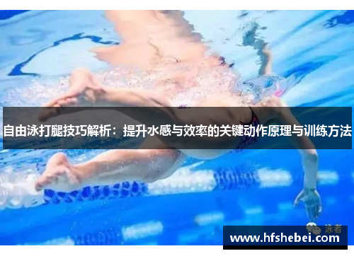 自由泳打腿技巧解析：提升水感与效率的关键动作原理与训练方法